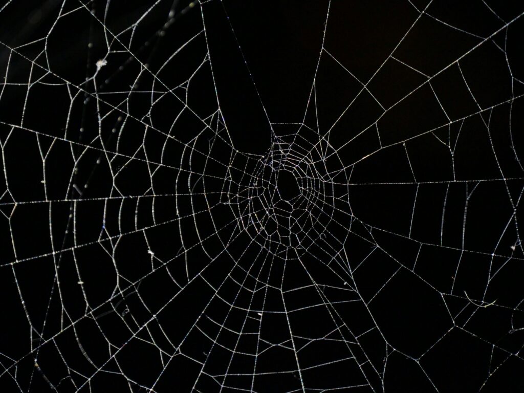 Spider web being used as a metaphor for a sitemap