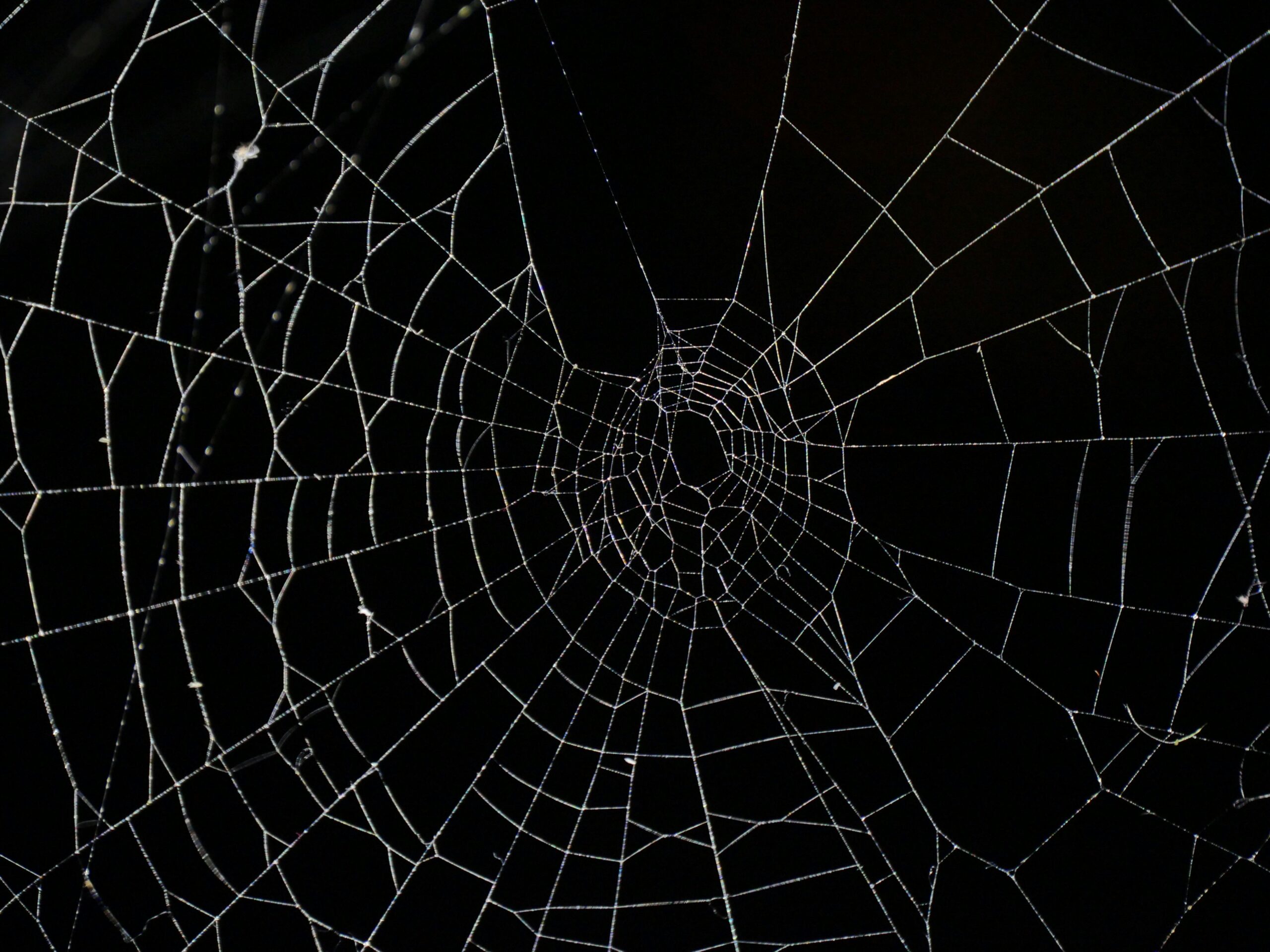 Spider web being used as a metaphor for a sitemap